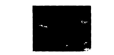 1582550259672574.jpg 未標(biāo)題-1.jpg