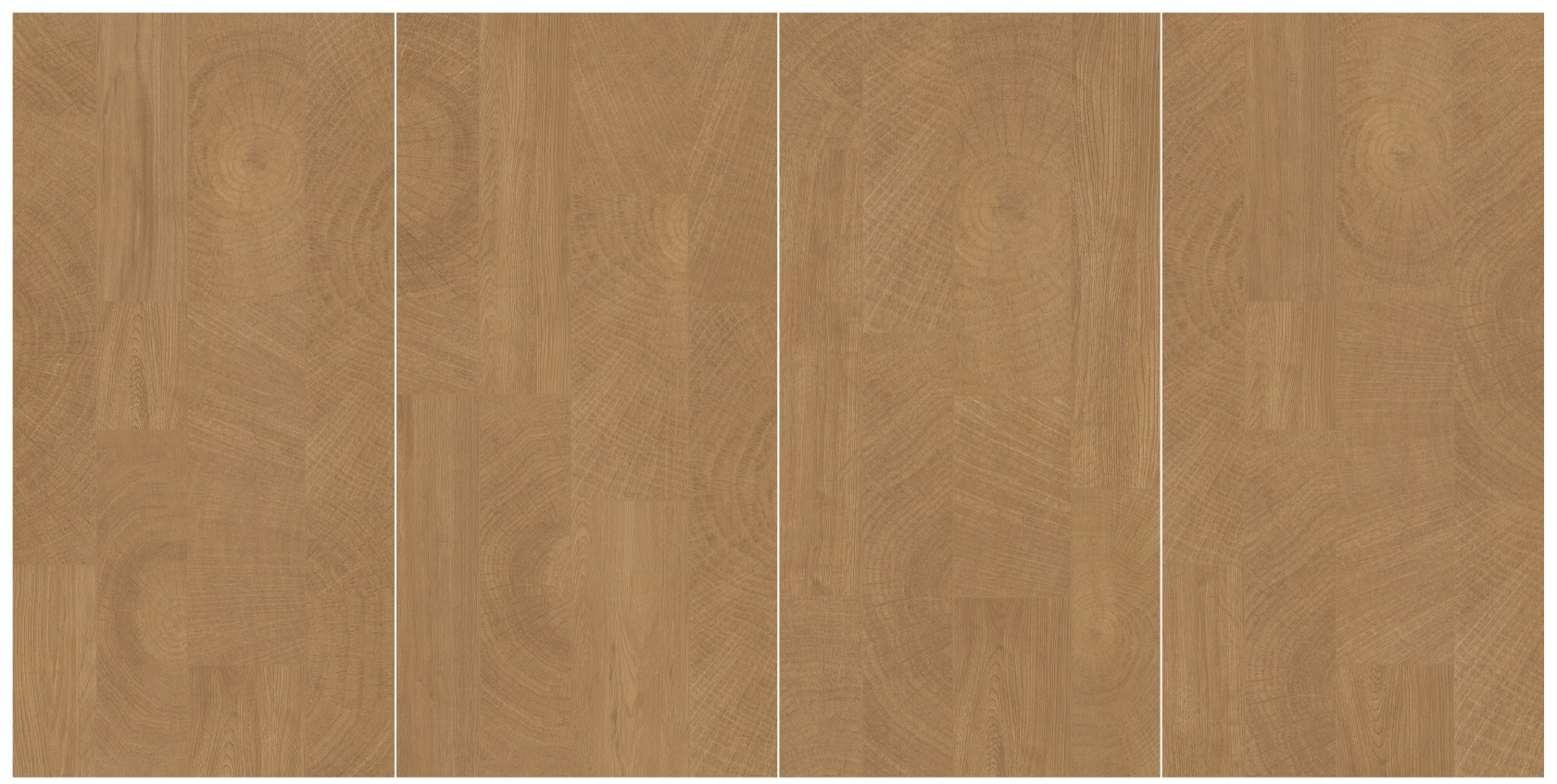 DM6N01A 時光年輪 淺色